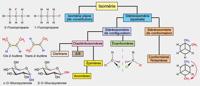 Différents types d'isomérie