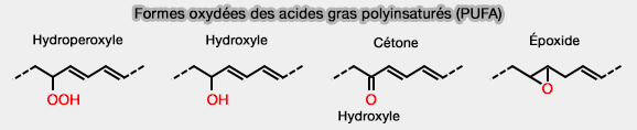 Formes oxydées des acides gras polyinsaturés (AGPI ou PUFA)