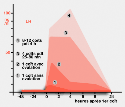 Incidence du nombre de coïts sur le pic de LH