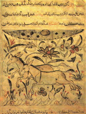 Gravure du livre des animaux d'Al-Jahiz