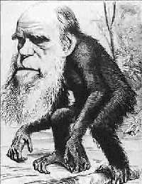 Darwin en orang-outang