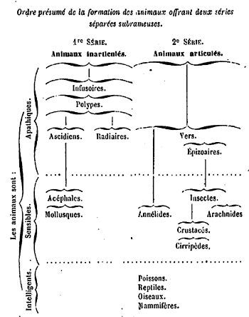 Classification de Lamarck