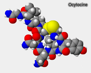 Ocytocine