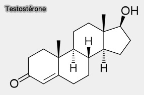 cure steroide debutant: What A Mistake!