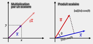 Multiplication par un scalaire et produit scalaire