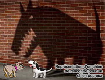 Représention du chien peureux