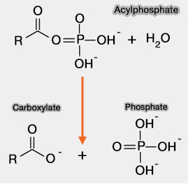 Acylphosphate