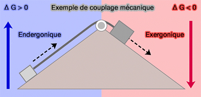Enthalpie et réactions chimiques