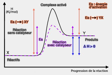 Énergie d'activation