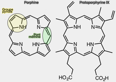 Porphine et protoporphyrine IX
