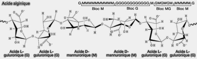 Acide alginique