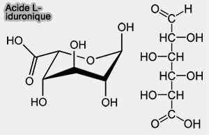 Acide L-iduronique