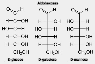 Aldohexoses