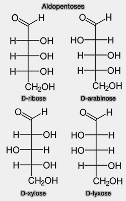 Aldopentoses