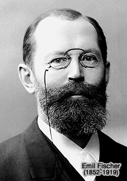 Hermann Emil Fischer