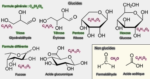 Formules des glucides