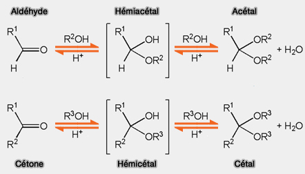 Hémiacétal (hémicétal) et acétal (cétal)