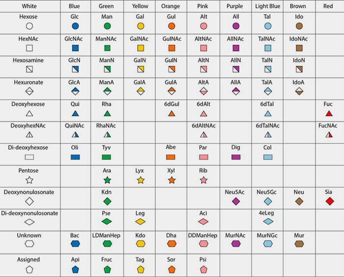 Nomenclature (forme et couleur) des glycanes