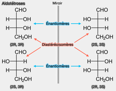 Épimères et anomères