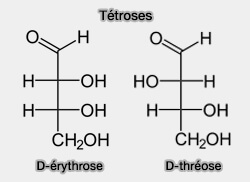 Tétroses