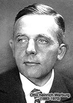 Otto Heinrich Warburg