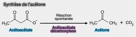 Synthèse de l'acétone