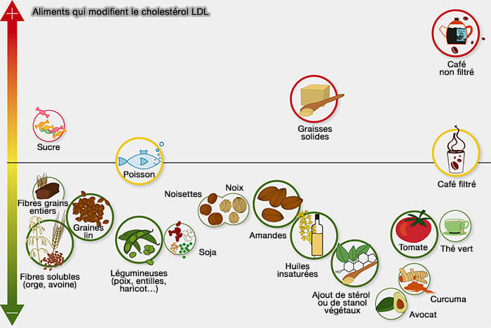 Aliments qui modifient le cholestérol LDL