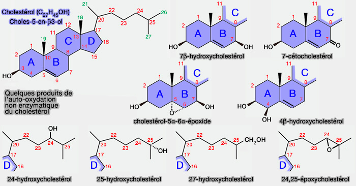 Quelques produits de l’auto-oxydation non enzymatique du cholestérol