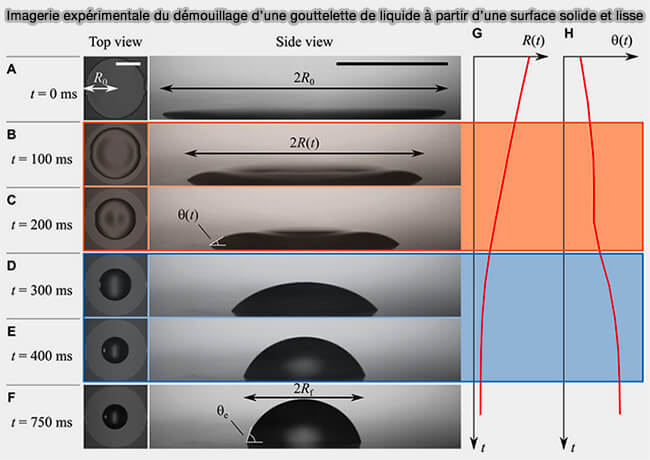 Démouillage (dewetting)