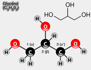Structure du glycérol