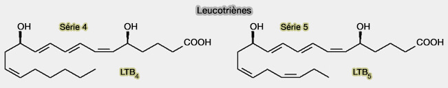 Série des leucotriènes