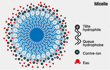 Micelle