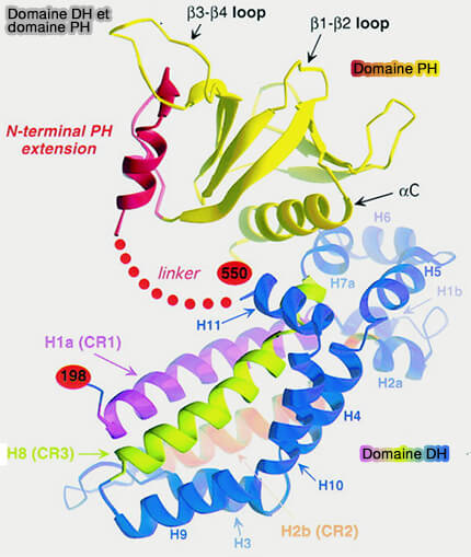 Domaine PH et partenaires