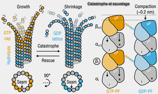 Catastrophe et sauvetage