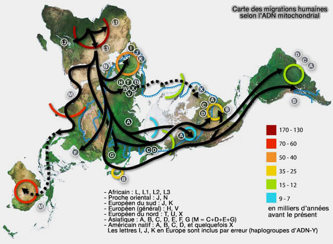 Carte des migrations humaines selon l’ADN mitochondrial