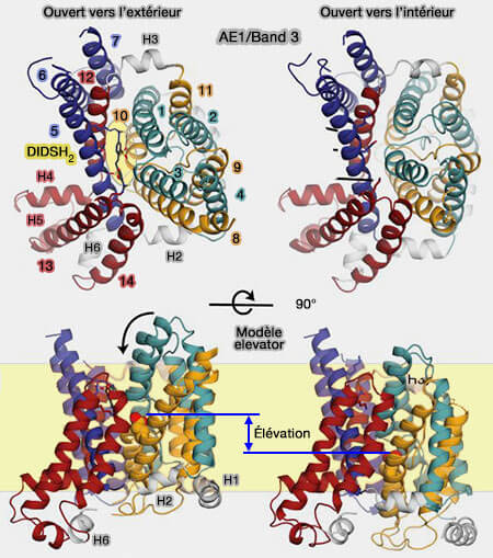 Modèle elevator de Band 3