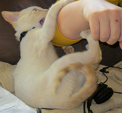 Agression autour du jeu