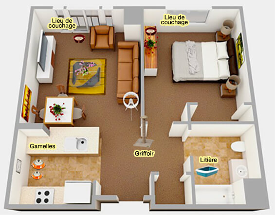 Emplacement des différents champs