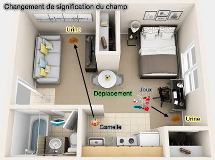 Changement de signification du champ