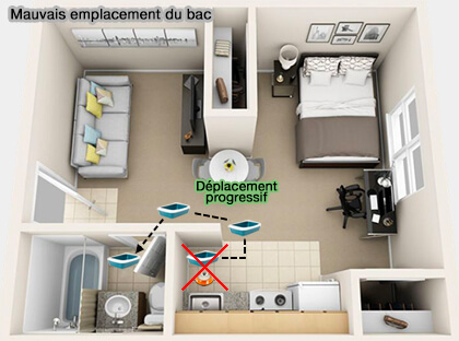 Déplacement du bac à litière