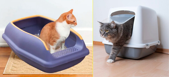 Bacs à litière ouvert et fermé