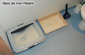 Les deux bacs de Pépère