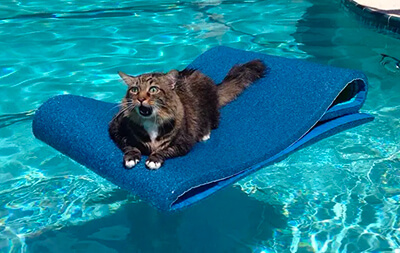 Métaphore du confinement temporaire