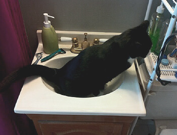 Élimination sur des surfaces lisses