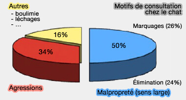 Motifs de consultation du chat