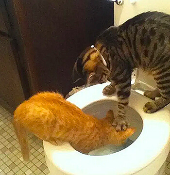 Métaphore de punition