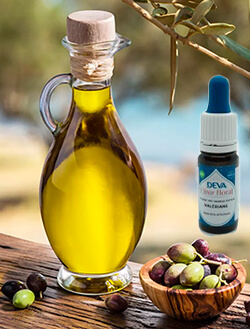 Huile d'olive ou valériane
