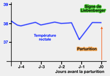 Signe de Liebenberger