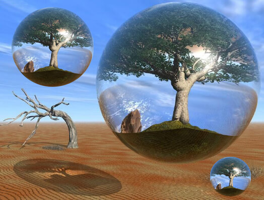 Chat caressé-mordeur