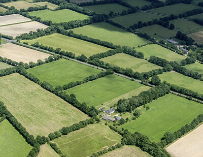 Métaphore du territoire du chat